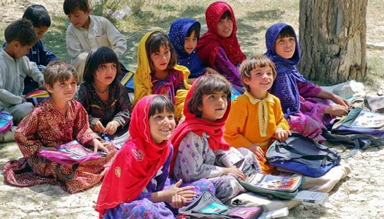 小七电话在线网页轰炸